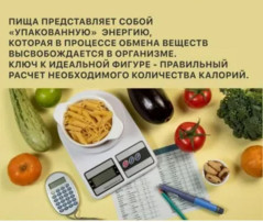 ЗДОРОВОЕ ПИТАНИЕ БЕЗ СТРЕССА ЗДОРОВОЕ ПИТАНИЕ БЕЗ СТРЕССА.